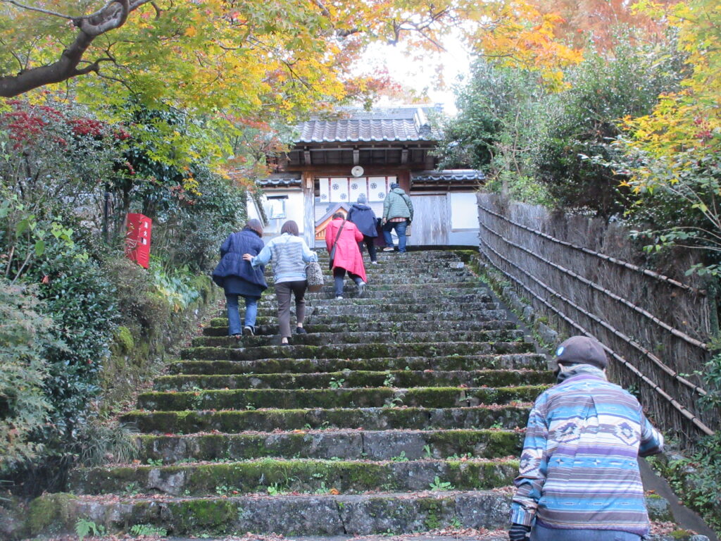 土佐民話の世界にようこそ